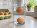 Frescura de los huevos