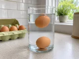 Frescura de los huevos
