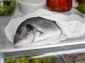 Conservar el pescado