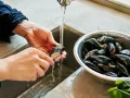 Tratando los mejillones