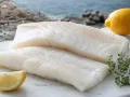 Bacalao
