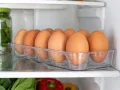 Conservación de los huevos